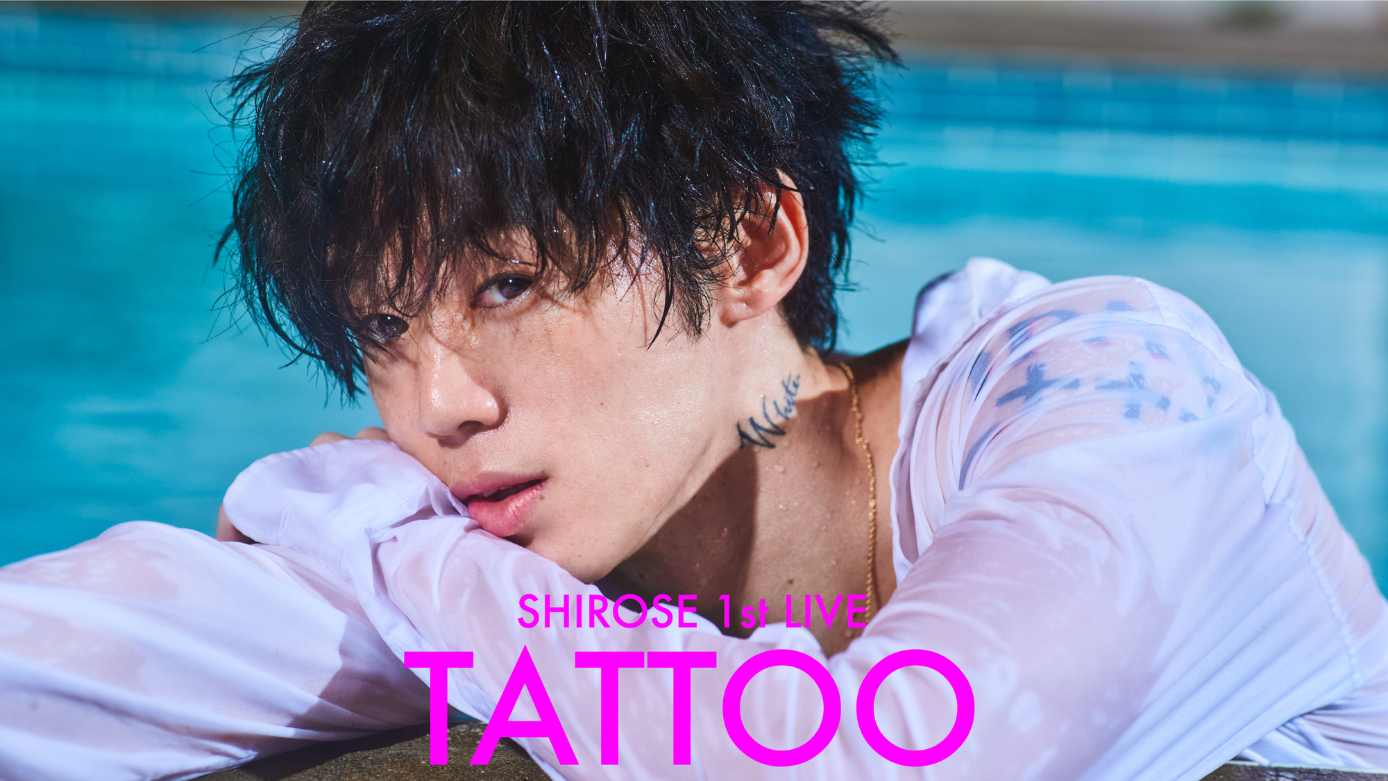 SHIROSE - 1st LIVE 