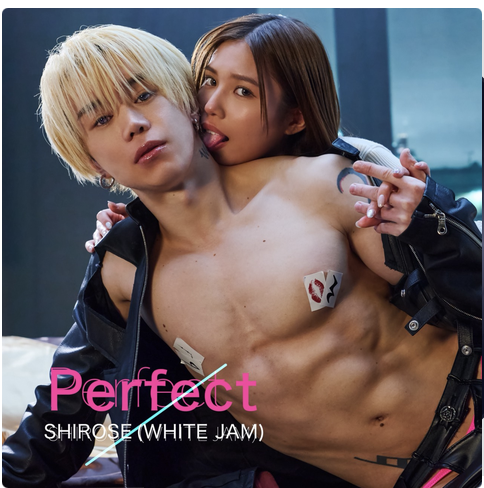 Digital Single「Perfect」